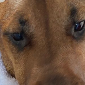 Meet your Posher, Marcos